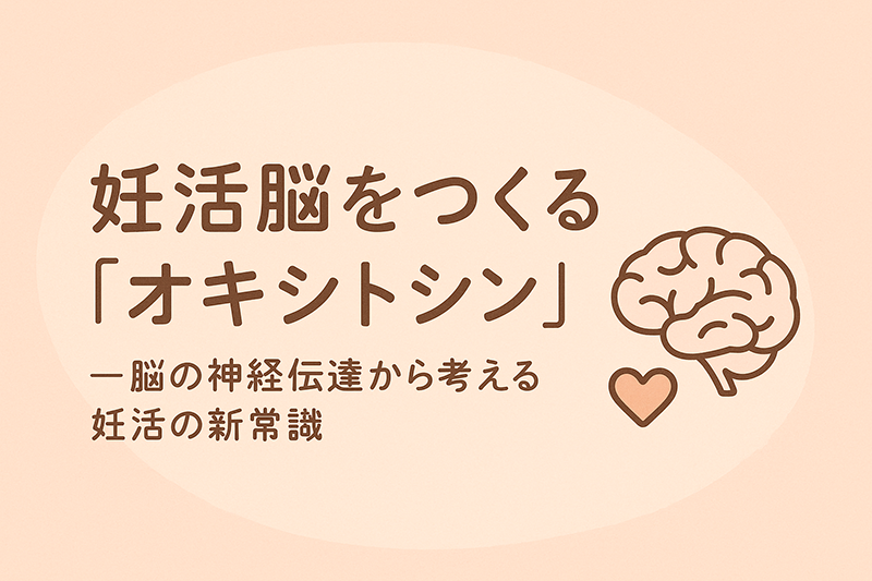 妊活脳をつくる「オキシトシン」 ——脳の神経伝達から考える妊活の新常識