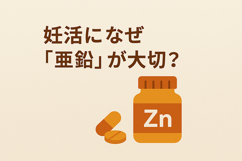 妊活になぜ「亜鉛」が大切？