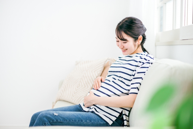 DHEAは卵子を育てるための大切な材料