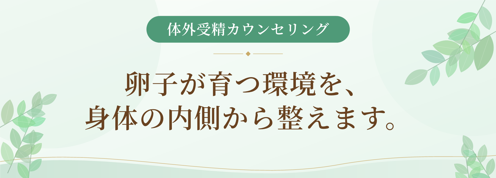 卵子が育つ環境を、身体の内側から整えます。 体外受精カウンセリング